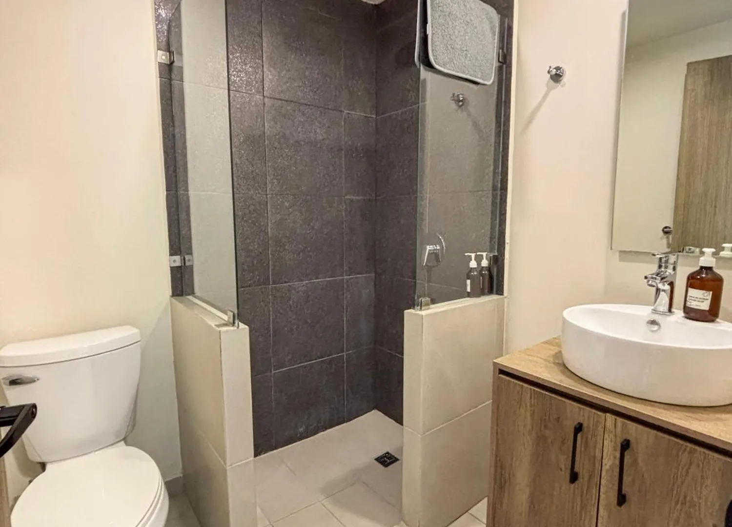 Ihost Chapultepec Apartment Guadalajara Mexico
